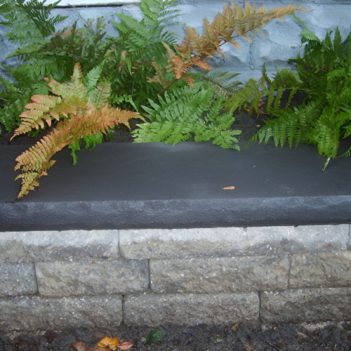 504336151_23926341557002511_3327809777051810233_n