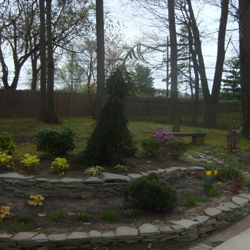 504466379_23926342767002390_2849106428404206202_n