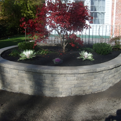 504634463_23926343083669025_930349253657630781_n