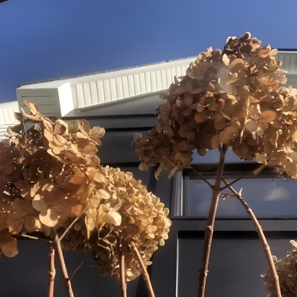 landscaping-and-hardscaping-in-mickleton-day-shots-1