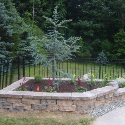 1_504149694_23926339523669381_282542088193055796_n