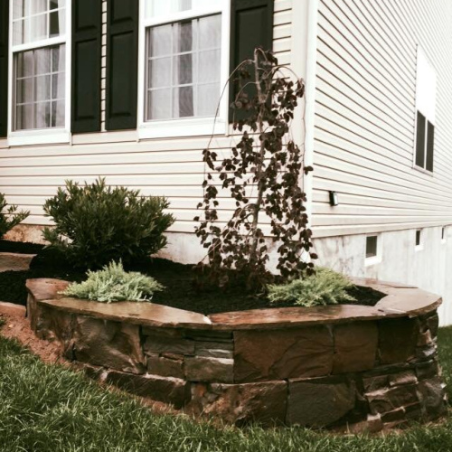 498941792_24056487703987895_5963254623854556882_n