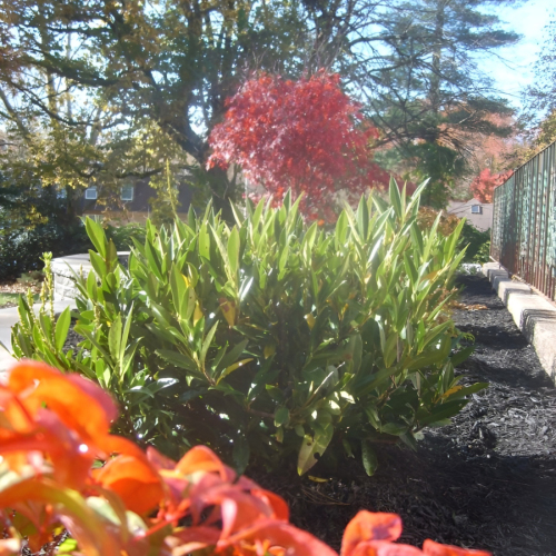 504085617_23926342990335701_9144325617607625122_n