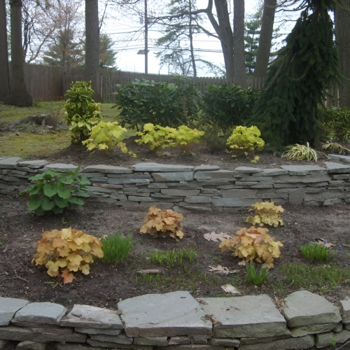 504087344_23926342747002392_8655252983693975749_n