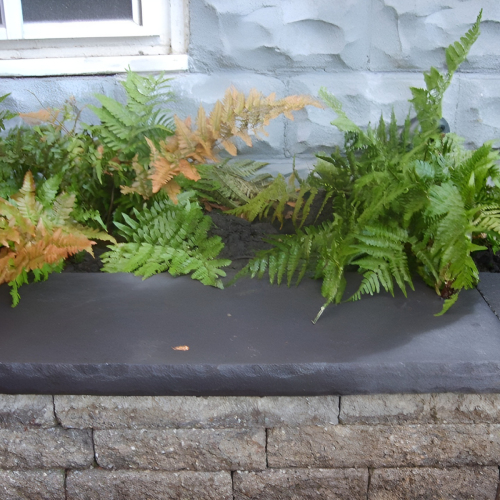 504157494_23926341373669196_1671776984625484620_n