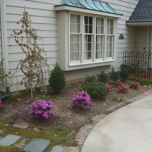 504341384_23926341133669220_6021434712343472865_n