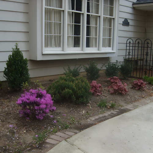 504347342_23926342737002393_211590217037593635_n