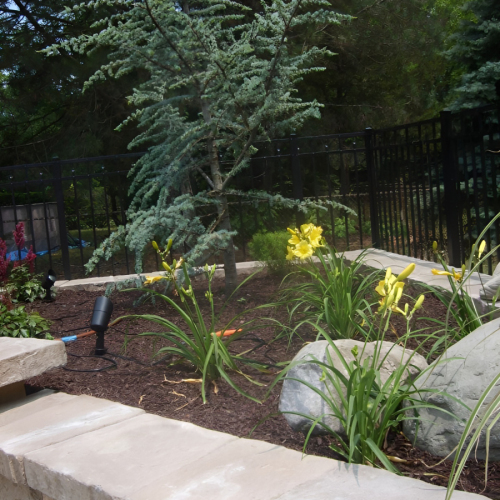 504376815_23926339560336044_4838167747947997270_n