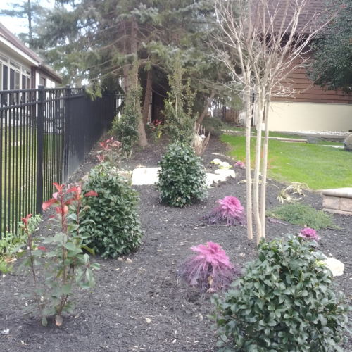 504381305_23926341227002544_7349382033342361549_n