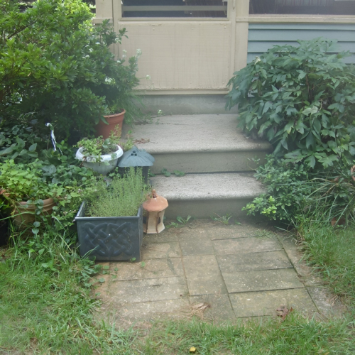 504381305_23926341520335848_2092092373510954618_n