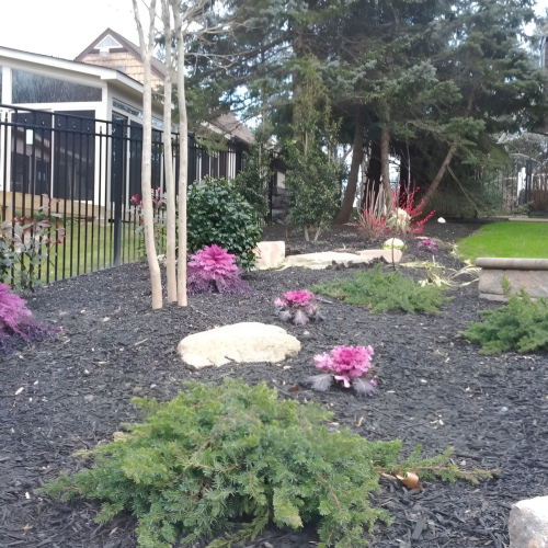South Jersey Garden Landscape Plantings