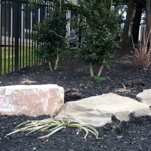 Decorative Rocks near Landscape Plantings in South Jersey