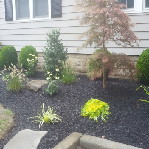 Vibrant South Jersey Landscape Plantings