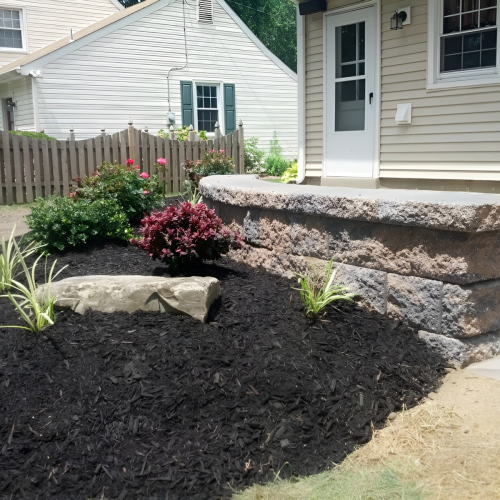 Backyard South Jersey Landscape Plantings