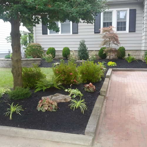 South Jersey Landscape Plantings