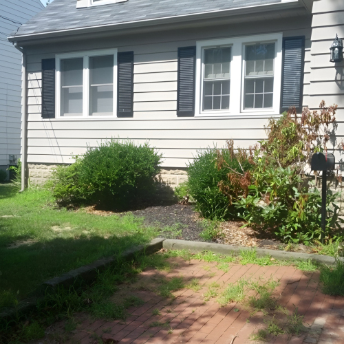 Garden South Jersey Landscape Plantings