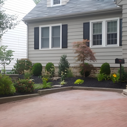 Tree & Bush South Jersey Landscape Plantings