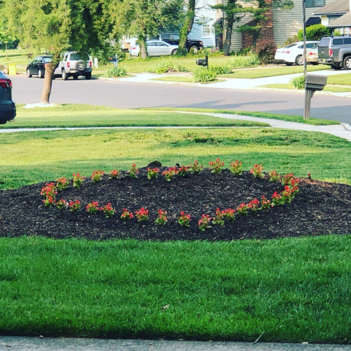 Decorative South Jersey Landscape Plantings