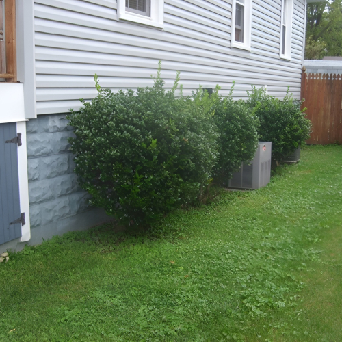 504339207_23926341097002557_6511991304613103463_n