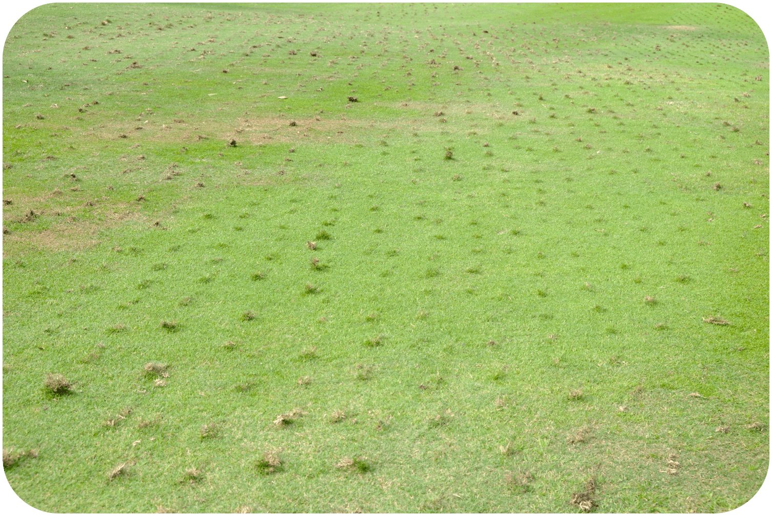 South Jersey Aeration Services