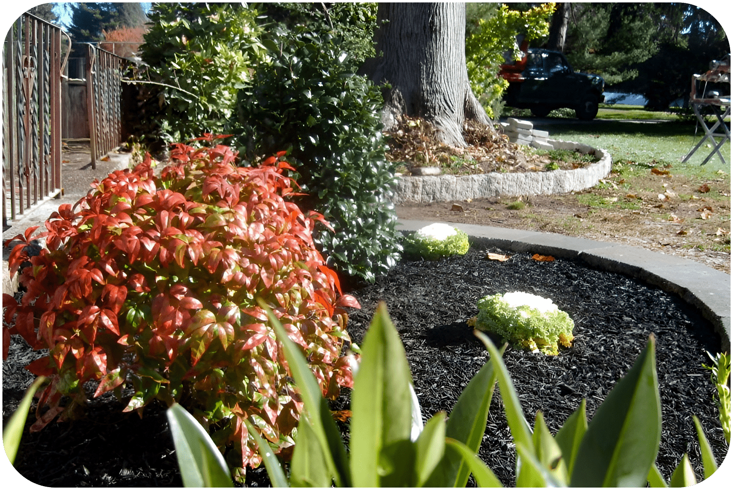 Landscape Planting Services in South Jersey
