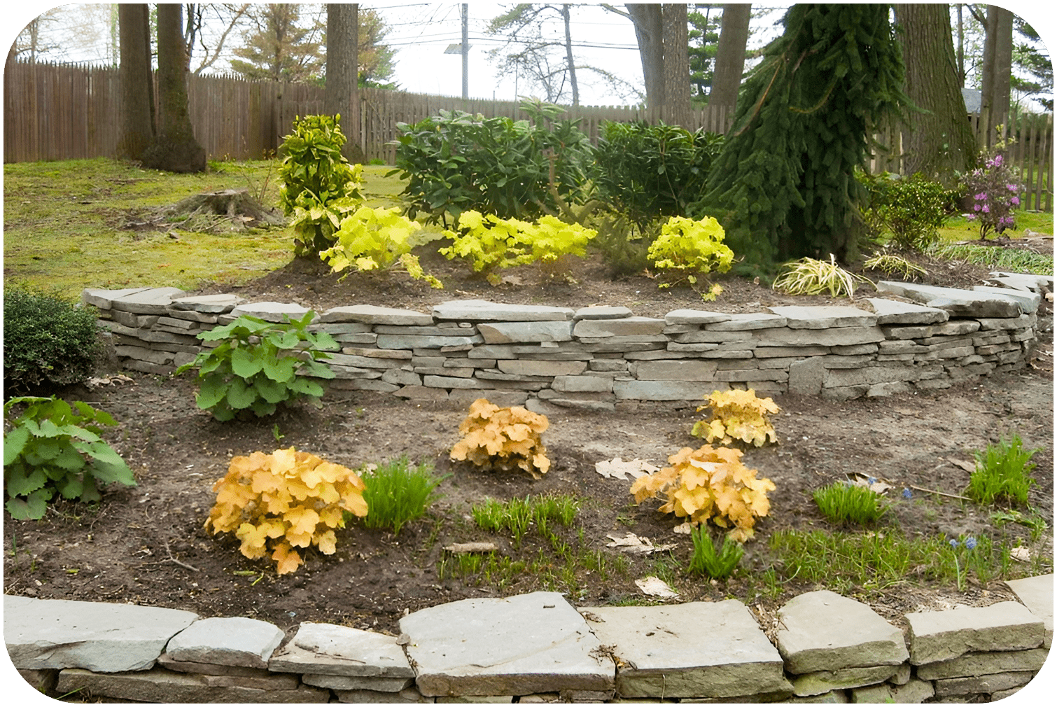 South Jersey Landscape Planting Installations
