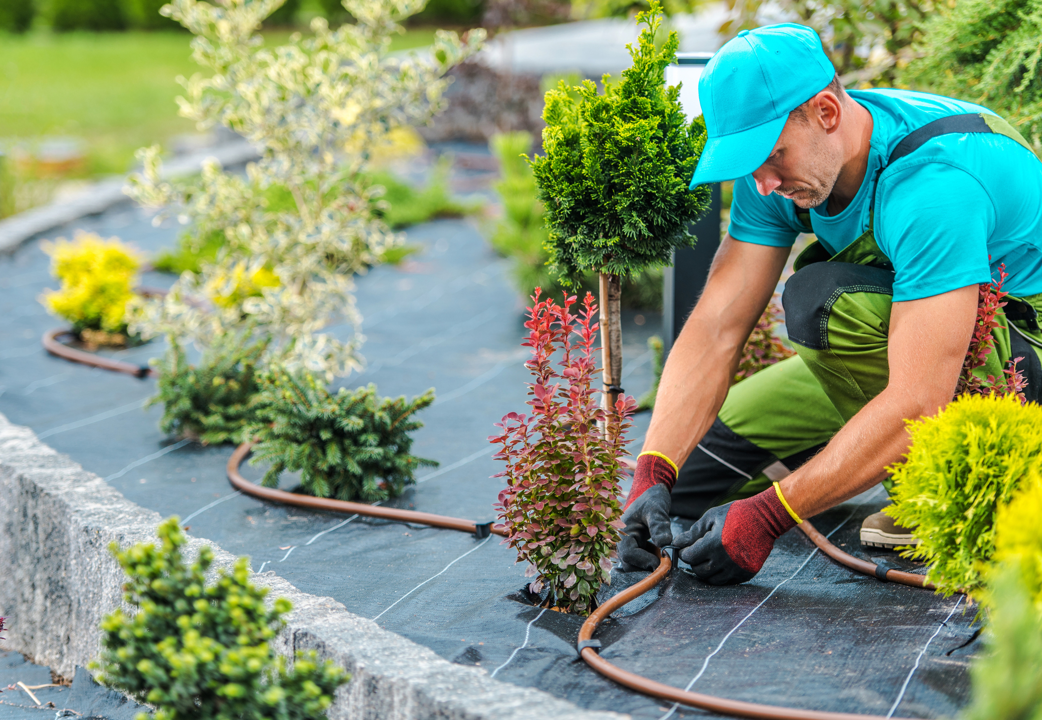 Collingswood, NJ Landscaping Companies