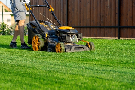Landscapers in Mount Royal, NJ