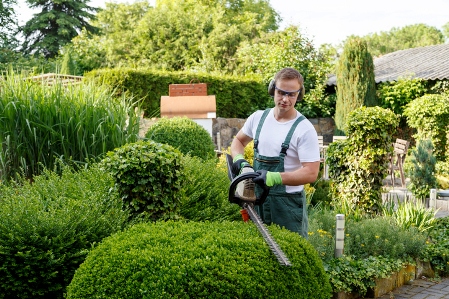 Landscapers in Mount Royal, NJ