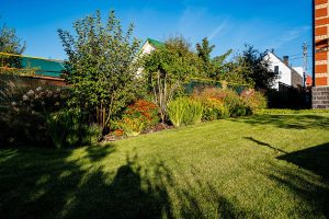 Collingswood Lawn Care Service