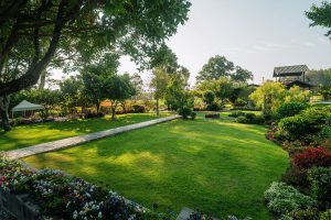 Lawn Service in Haddon Township